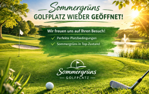 20260306 sommergrüns 20260306 sommergrüns